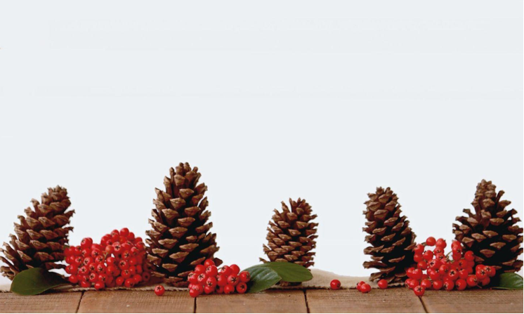 12-Foot Prelit Christmas Tree: The Perfect Holiday Décor